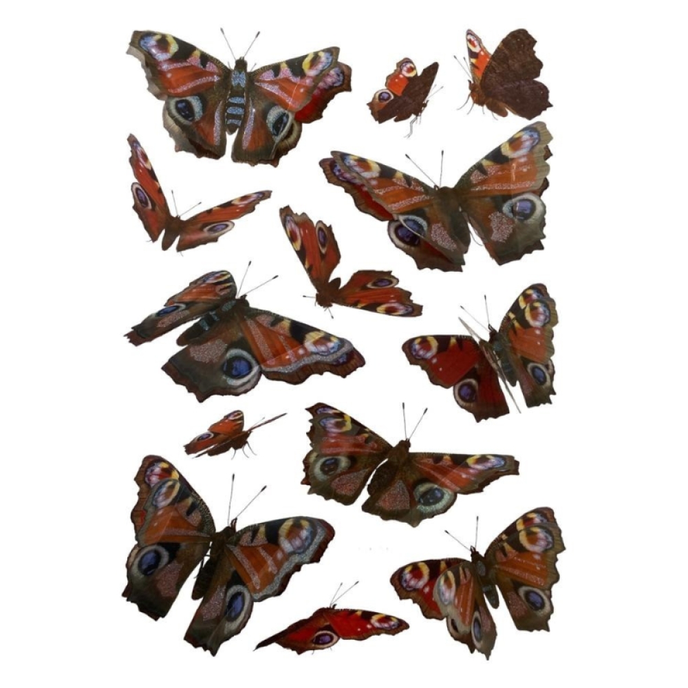  Stickere Decorative de perete 3D Cu Fluturi, 50 x 35 cm, Diverse modele - Engros