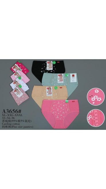 chiloti dama 12/set