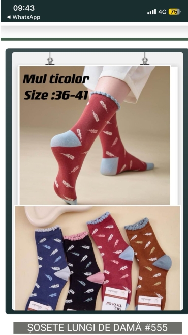 sosete lungi dama 20/set