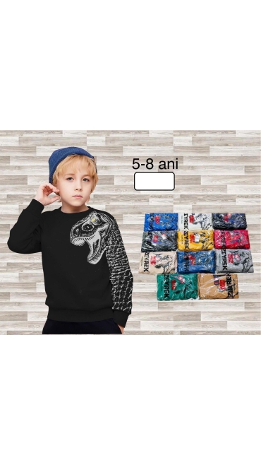 bluza baieti 5-8 ani 4/set