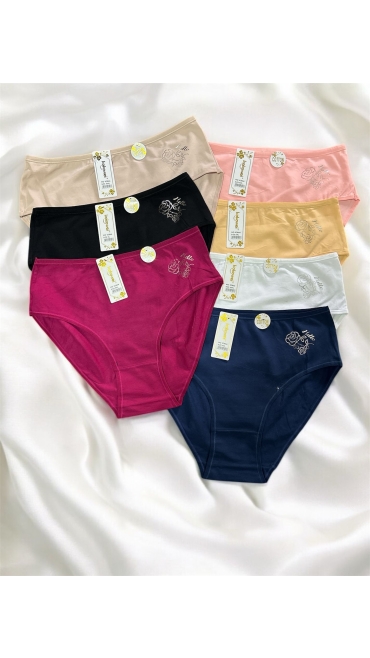 chiloti dama bbc95% microfibra5% xl-4xl culori combinate 12/set