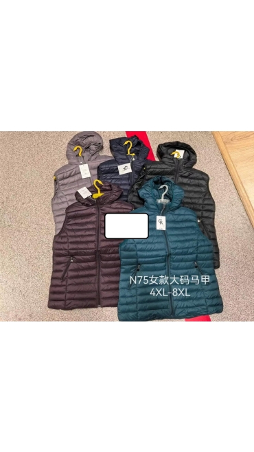 vesta dama 4xl-8xl 5/set