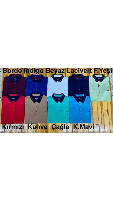 tricou barbati l-3xl 5/set