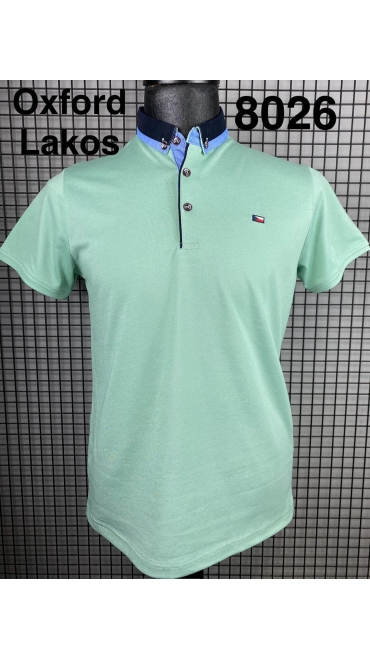 tricou barbati l-3xl 5/set