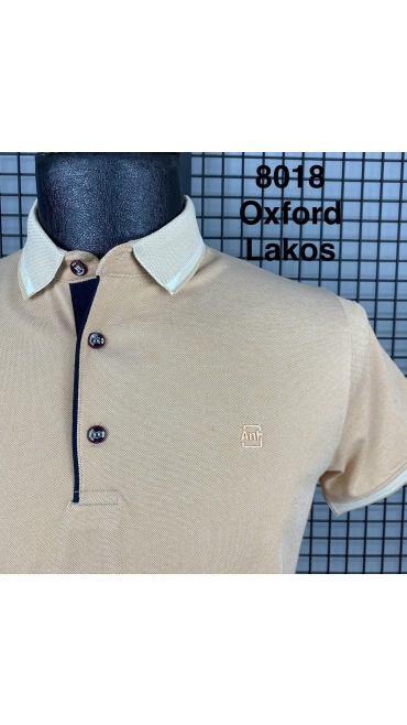 tricou barbati l-3xl 5/set