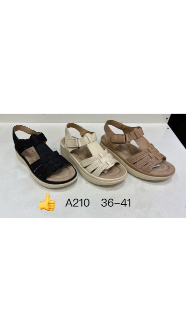 incaltaminte dama 36-41 8/set