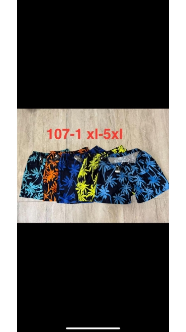pantaloni scurti barbati xl-5xl 5/set