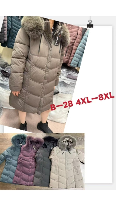 geaca dama blana 4xl-8xl 5/set