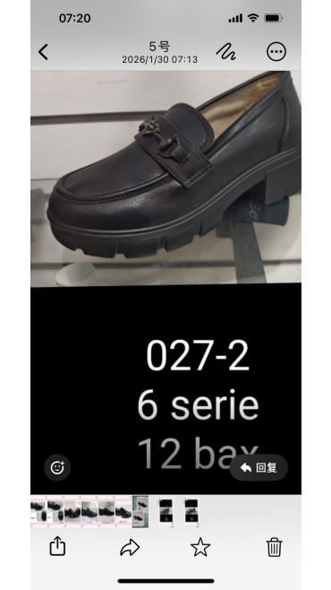 incaltaminte dama 36-41 6/set