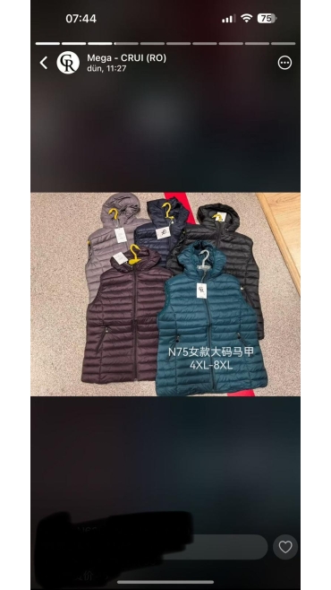 vesta dama 4xl-8xl 5/set