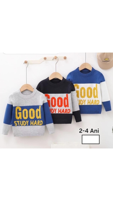 bluza baieti 2-4 ani 3/set