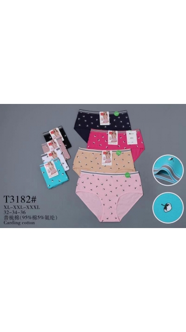 chiloti dama 12/set