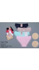 chilot dama l-2xl 12/set