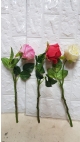 trandafiri mici 10/set