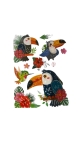Stickere Decorative de perete Cu Papagali 3D, 40 x 30 cm, Diverse modele - Engros
