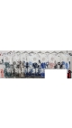 bluza dama 5/set
