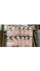 ingeras 12/set