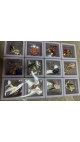 martisor 12/set
