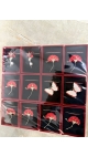 martisoare 12/set